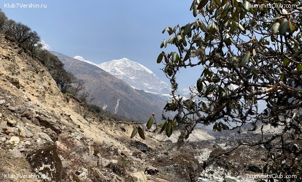 ���� ��� 2023 ������ ����� ���������, ���� 15