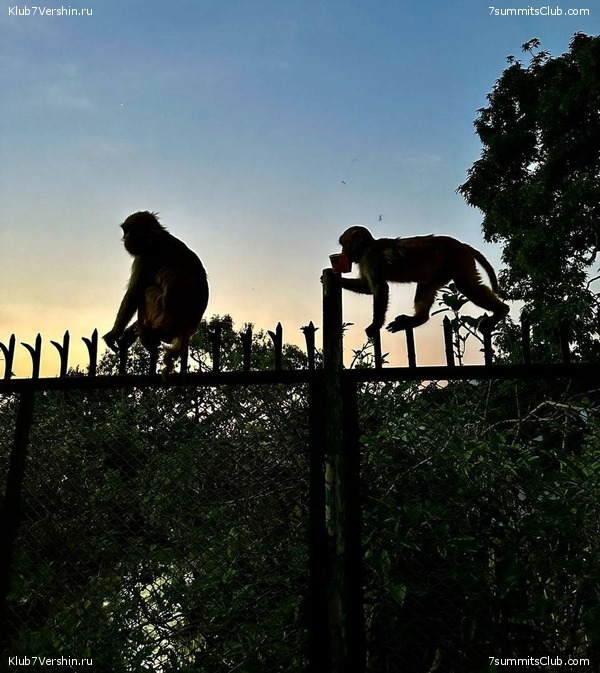 ������� 2023. ������ ����������. �. �������, ���� 119