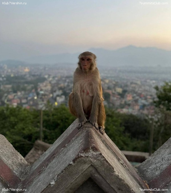 ������� 2023. ������ ����������. �. �������, ���� 120