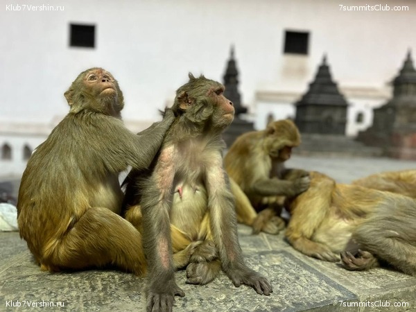 ������� 2023. ������ ����������. �. �������, ���� 38