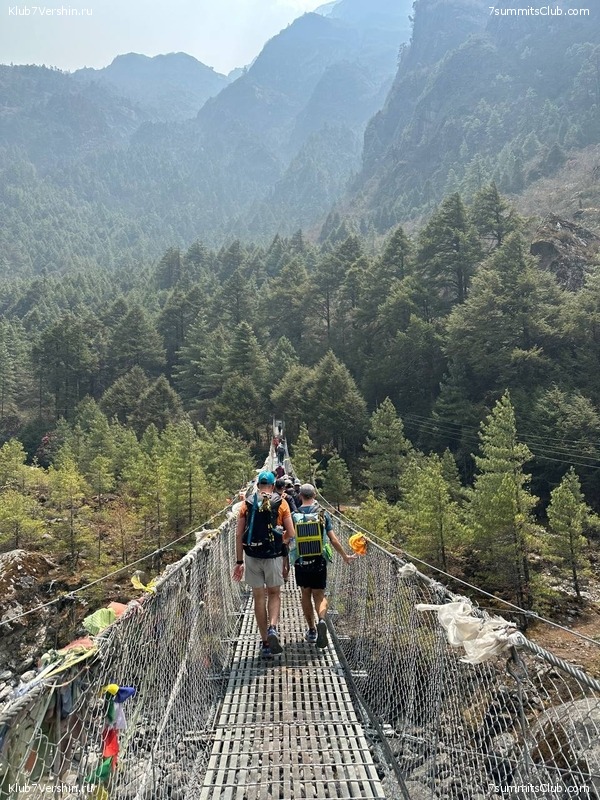 ������� 2023. ���������� ����� 8000. ������ �������. ������, ���� 115