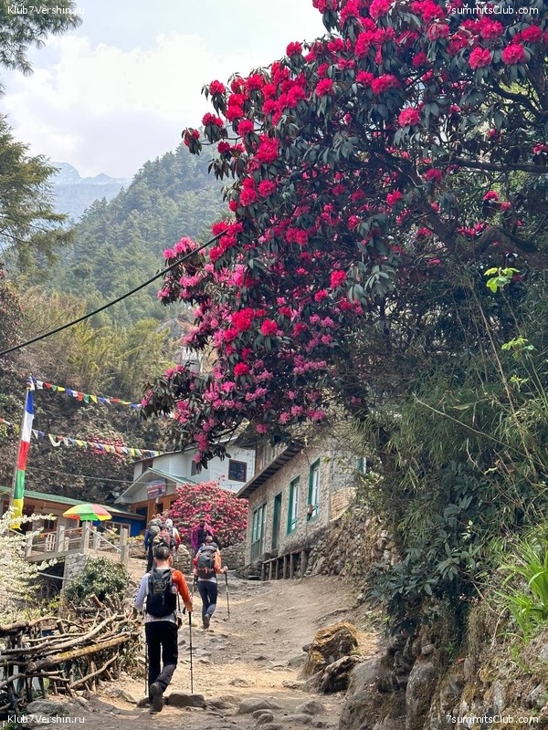 ������� 2023. ���������� ����� 8000. ������ �������. ������, ���� 116