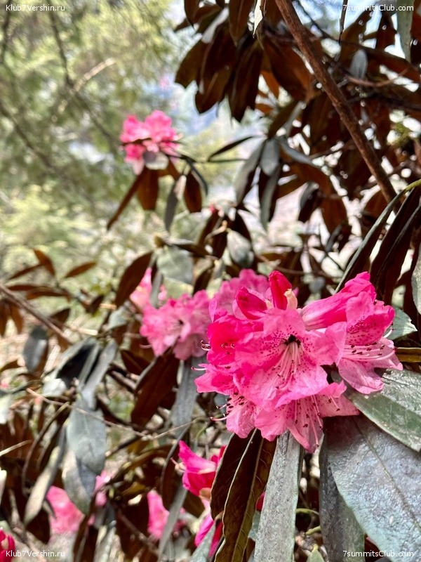 ������� 2023. ���������� ����� 8000. ������ �������. ������, ���� 117