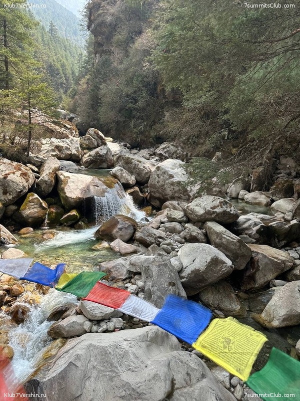 ������� 2023. ���������� ����� 8000. ������ �������. ������, ���� 118