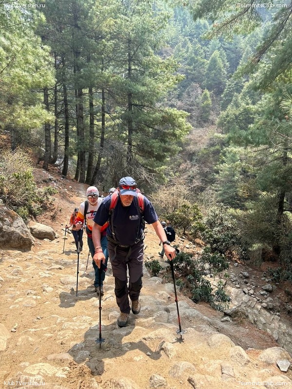 ������� 2023. ���������� ����� 8000. ������ �������. ������, ���� 119