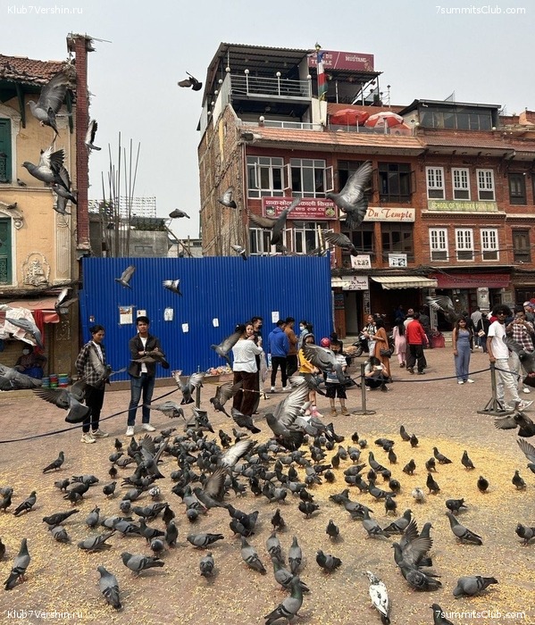 ������� 2023. ������ ����������. �. �������, ���� 124