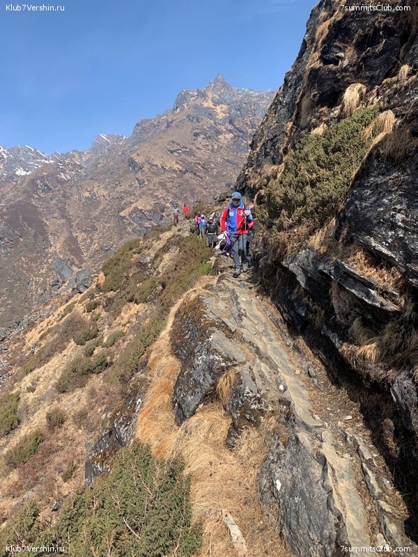 ���� ���. ������ 2023. ������ ���������, ���� 46