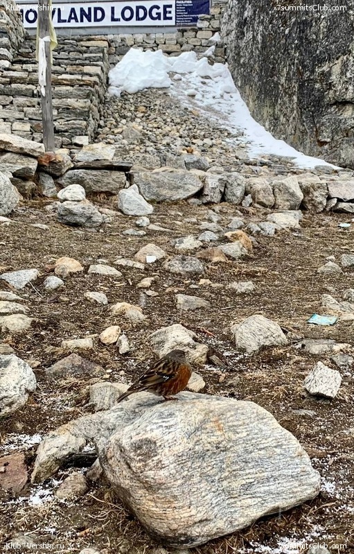 ���� ��� 2023 ������ ����� ���������, ���� 162