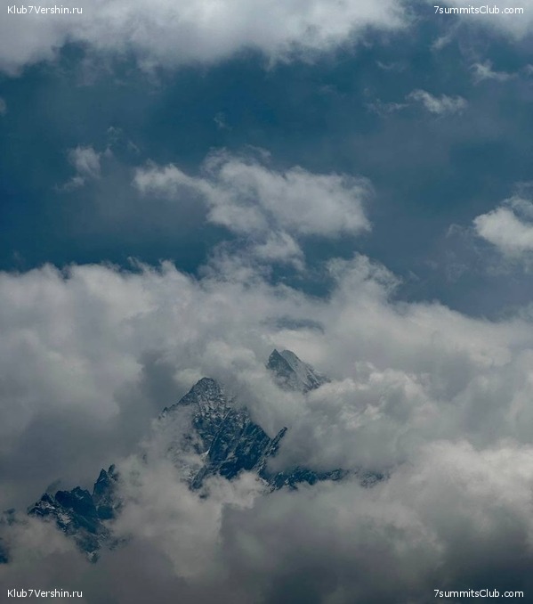 ������� 2023. ���������� ����� 8000. ������ �������. ������, ���� 89