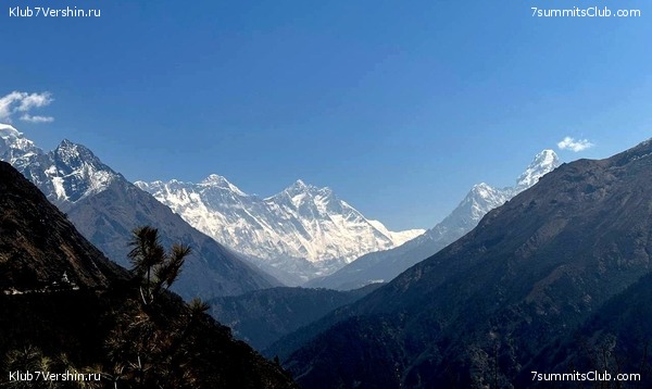  2023.   8000.  . ,  13