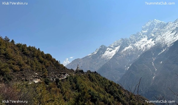  2023.   8000.  . ,  12