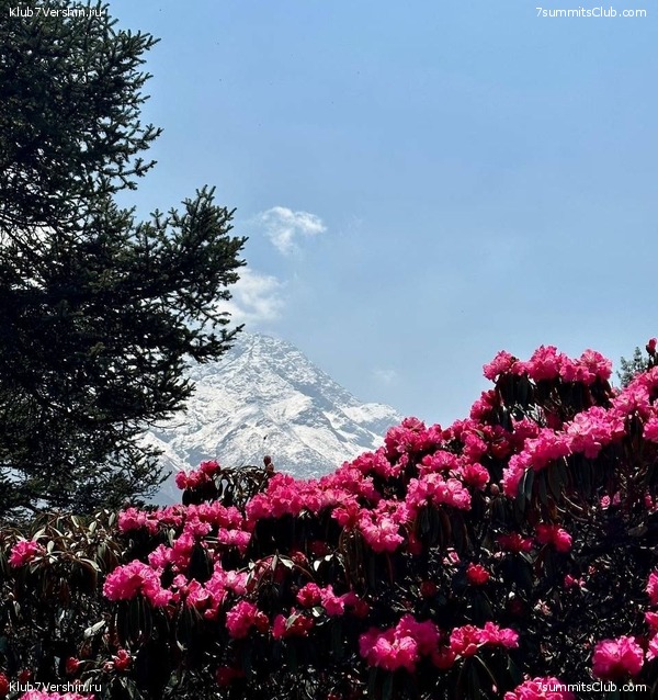  2023.   8000.  . ,  85