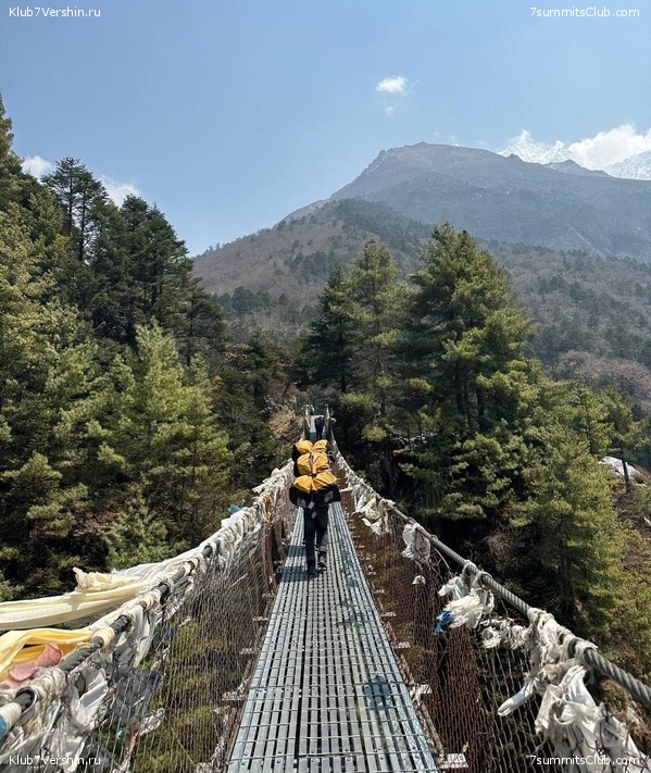 ������� 2023. ���������� ����� 8000. ������ �������. ������, ���� 95