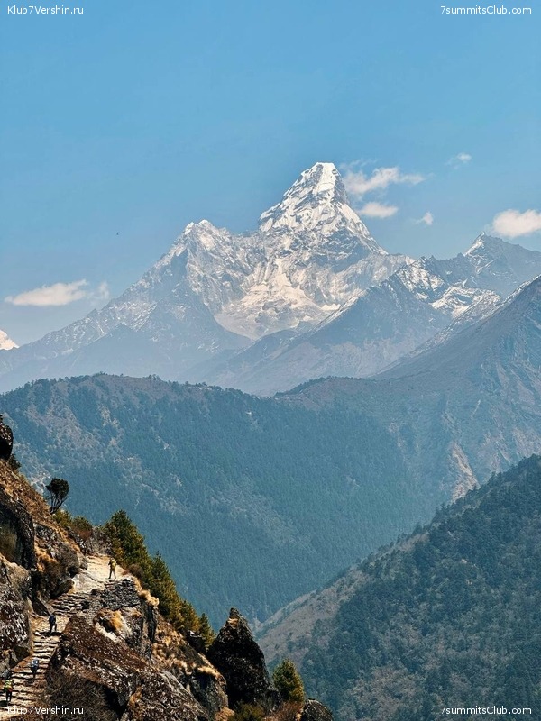 ������� 2023. ���������� ����� 8000. ������ �������. ������, ���� 133