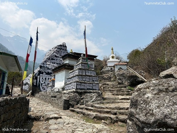 ������� 2023. ������ ����������. �. �������, ���� 41