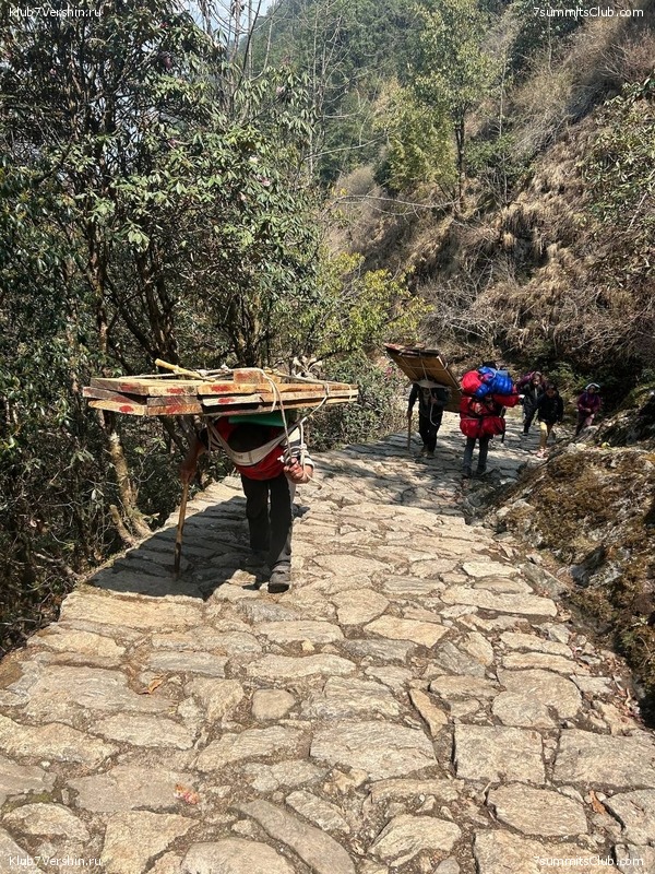 ������� 2023. ������ ����������. �. �������, ���� 153