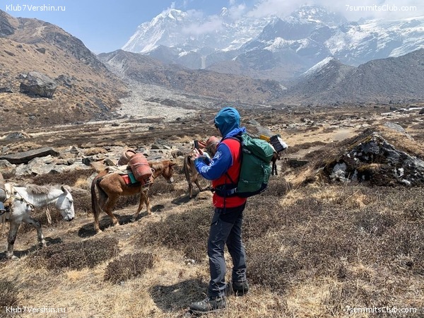 ���� ���. ������ 2023. ������ ���������, ���� 26