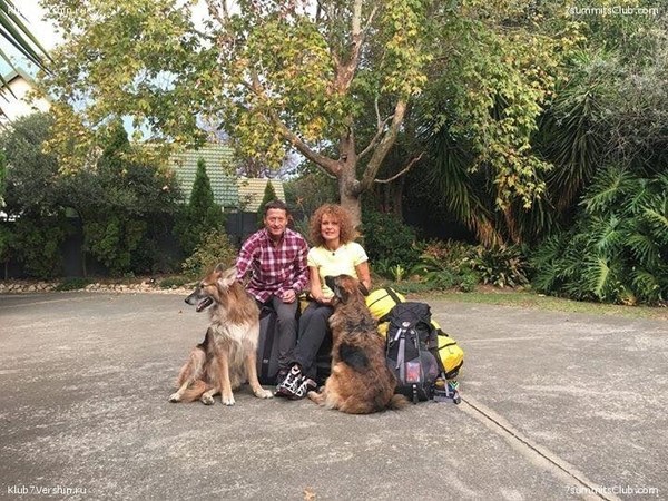 ���� �����, ���� 15