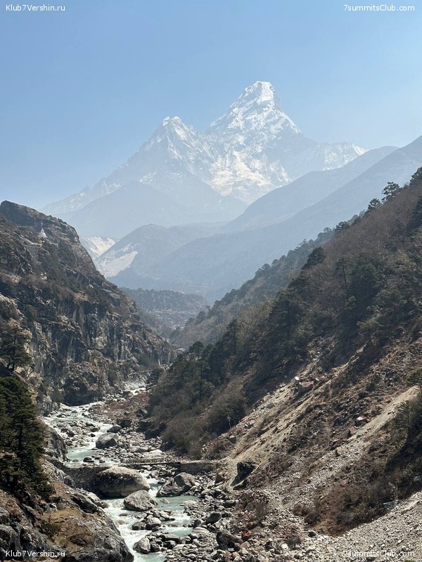 ������� 2023. ���������� ����� 8000. ������ �������. ������, ���� 134