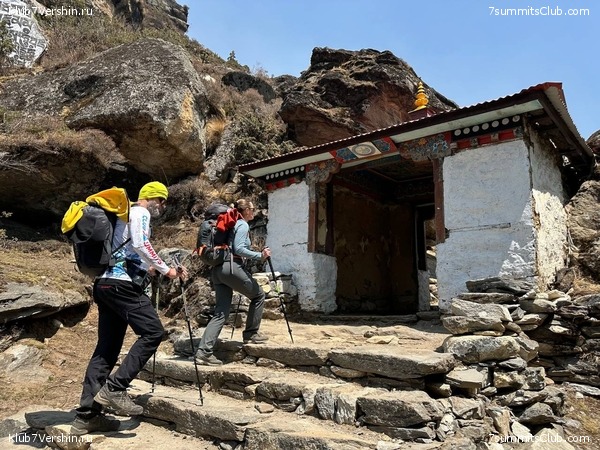 ������� 2023. ���������� ����� 8000. ������ �������. ������, ���� 49