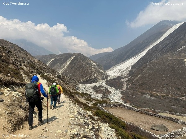 ������� 2023. ���������� ����� 8000. ������ �������. ������, ���� 50