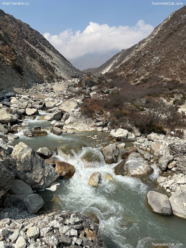 ������� 2023. ���������� ����� 8000. ������ �������. ������, ���� 137