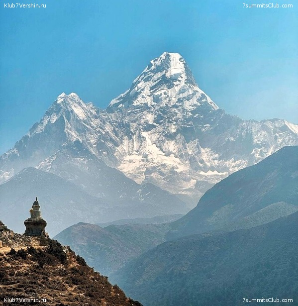  2023.   8000.  . ,  81