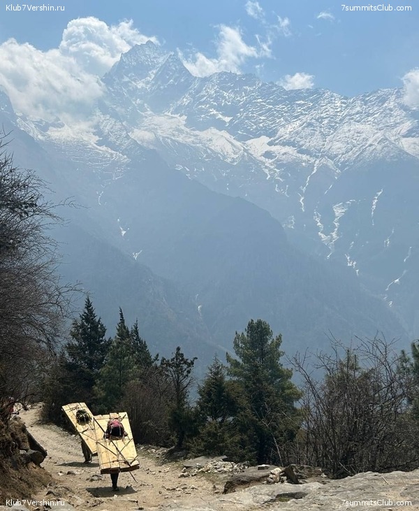 ������� 2023. ������ ����������. �. �������, ���� 132