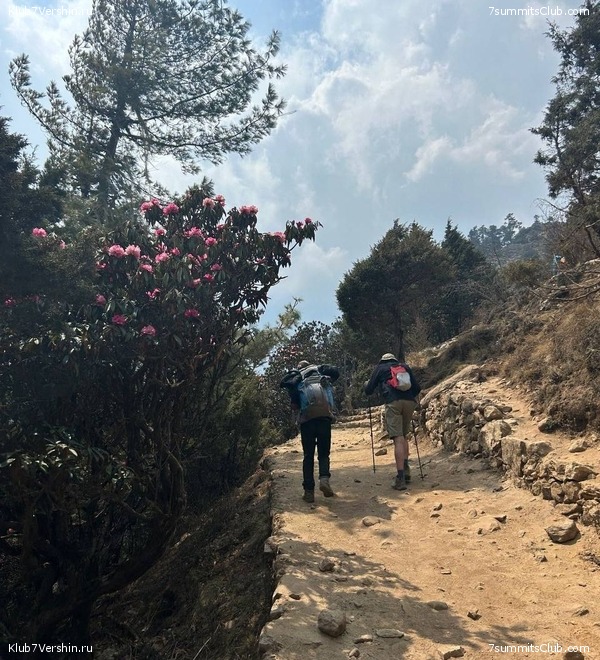 ������� 2023. ������ ����������. �. �������, ���� 114