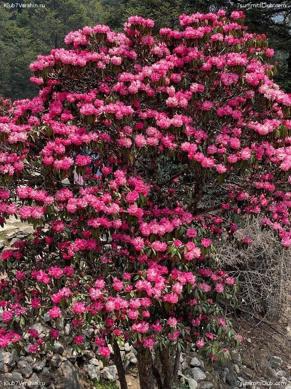 ������� 2023. ������ ����������. �. �������, ���� 170