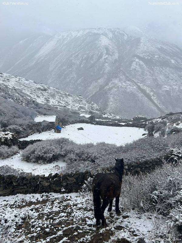 ������� 2023. ������ ����������. �. �������, ���� 174