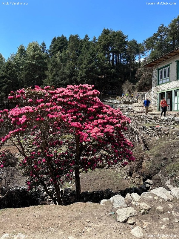 ������ 2023. ������� ���������, ���� 176