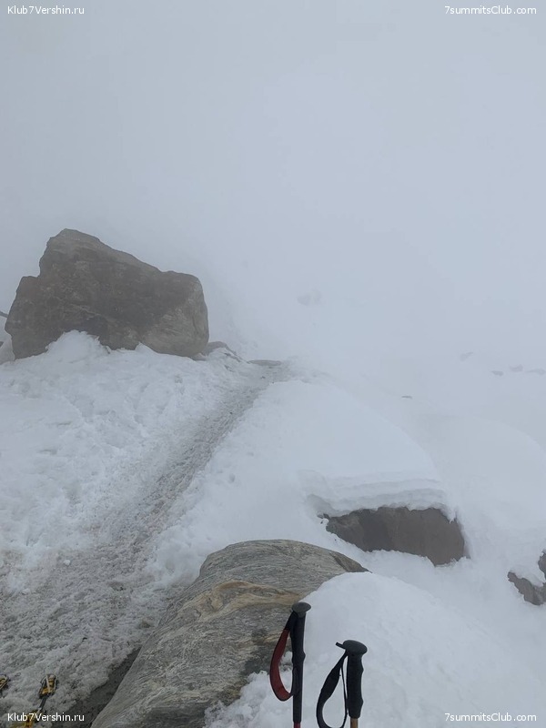 ���� ���. ������ 2023. ������ ���������, ���� 59