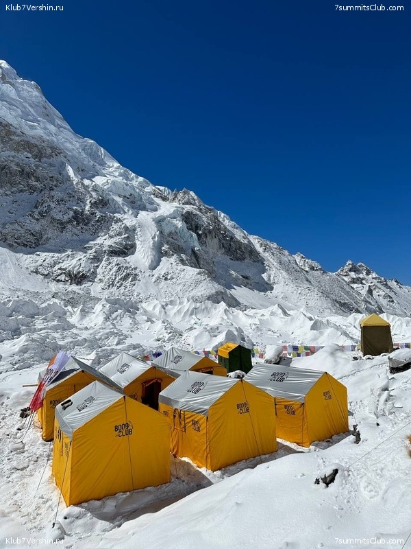 ������� 2023. ���������� ����� 8000. ������ �������. ������, ���� 142