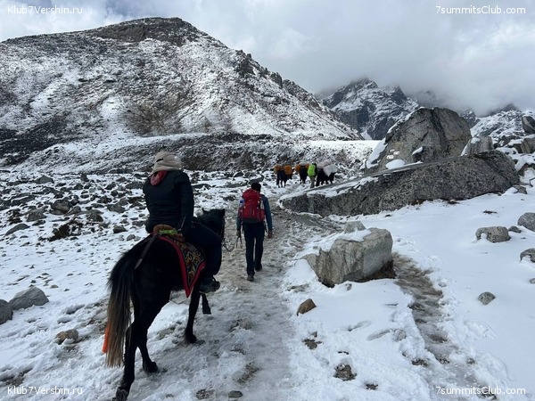 ������� 2023. ������ ����������. �. �������, ���� 62