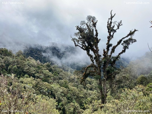 ����� ������. ���� �� ������ �������-������, ���� 8