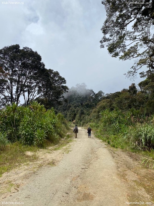 ����� ������. ���� �� ������ �������-������, ���� 29