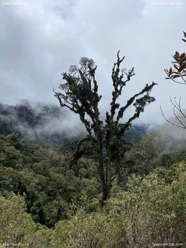 ����� ������. ���� �� ������ �������-������, ���� 30