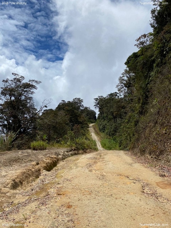 ����� ������. ���� �� ������ �������-������, ���� 31