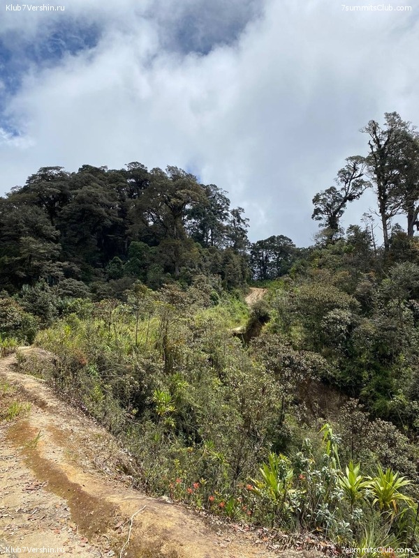 ����� ������. ���� �� ������ �������-������, ���� 32