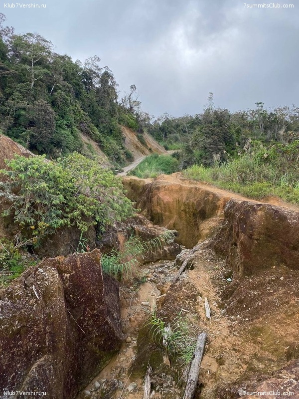 ����� ������. ���� �� ������ �������-������, ���� 40