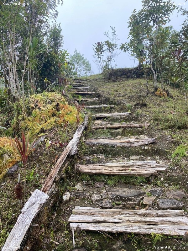 ����� ������. ���� �� ������ �������-������, ���� 41