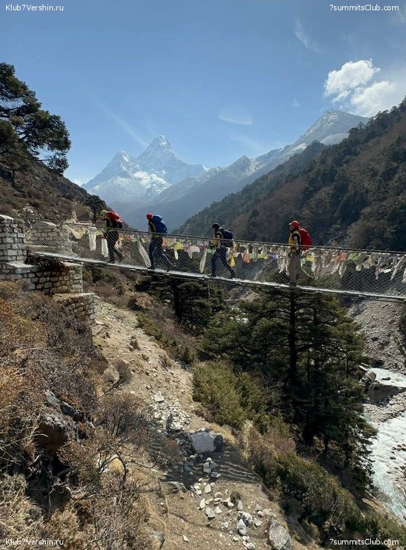 ������ 2023. ������� ���������, ���� 226