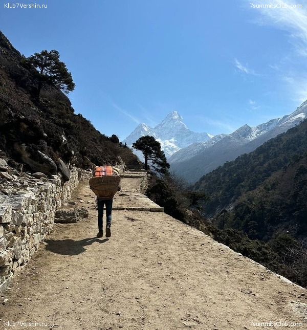 ������ 2023. ������� ���������, ���� 100