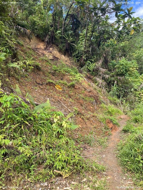 ����� ������. ���� �� ������ �������-������, ���� 48