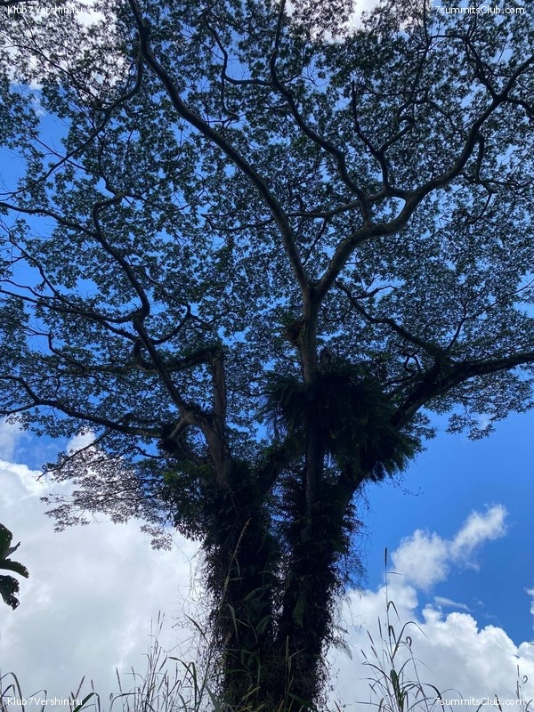 ����� ������. ���� �� ������ �������-������, ���� 49