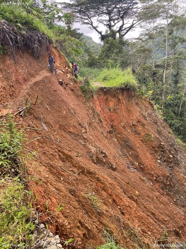 ����� ������. ���� �� ������ �������-������, ���� 50