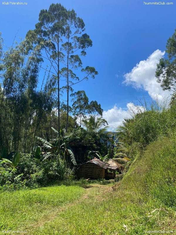 ����� ������. ���� �� ������ �������-������, ���� 53