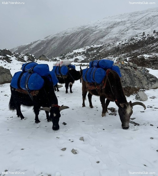 ������ 2023. ������� ���������, ���� 106