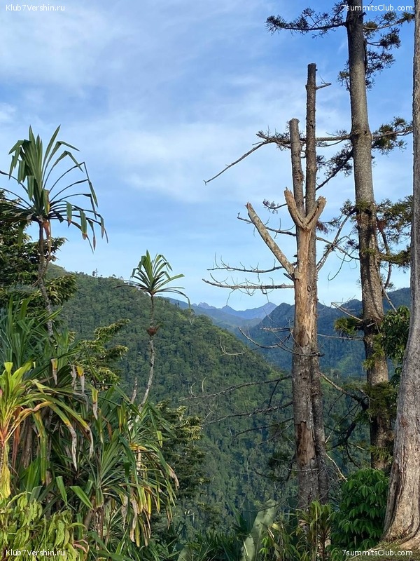 ����� ������. ���� �� ������ �������-������, ���� 66